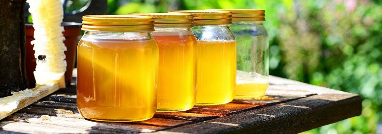 Indemnisation des pertes de récolte sur miel dues au gel de printemps en 2019